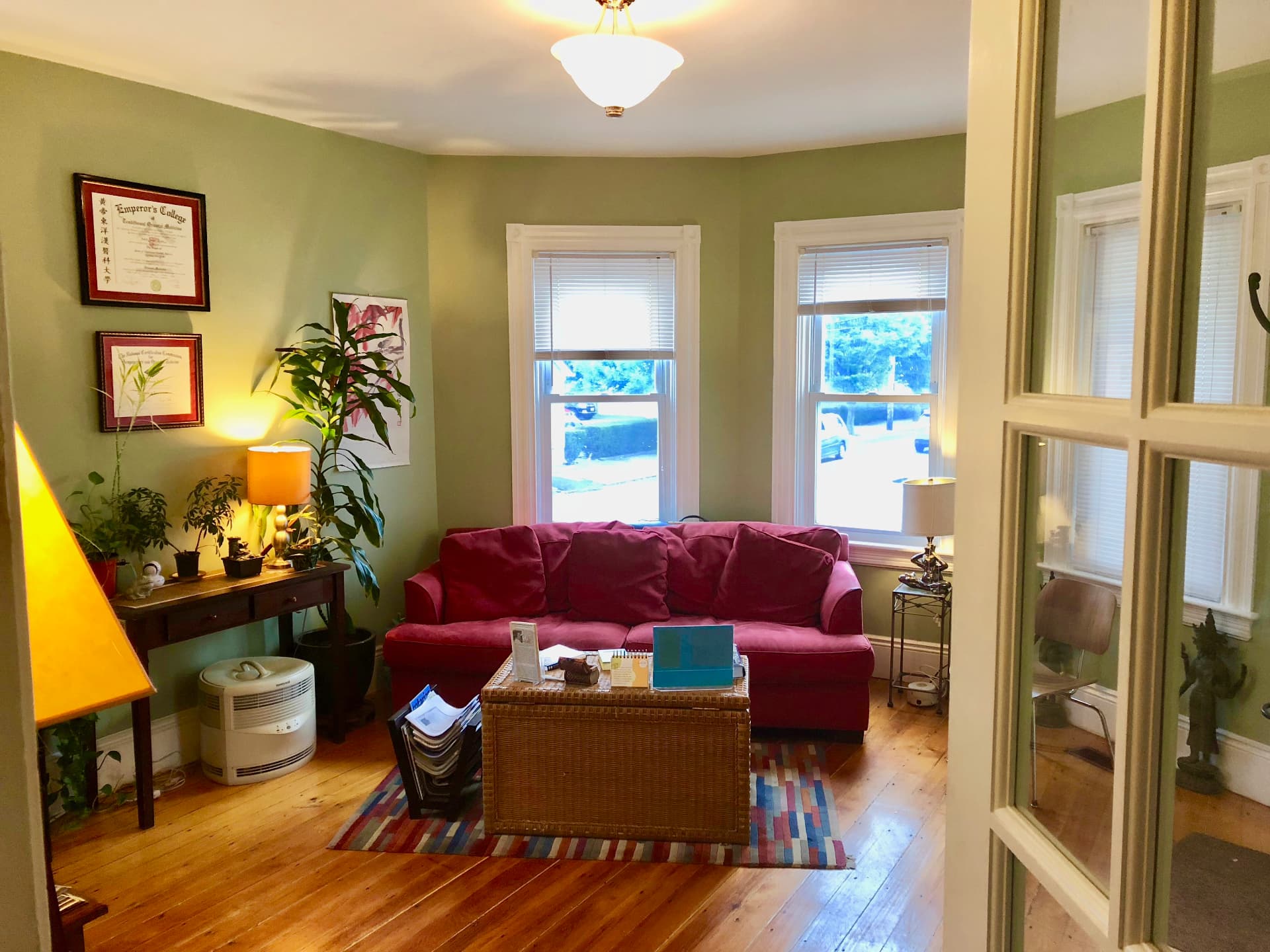 Green-walled sitting room with plants and framed certificates